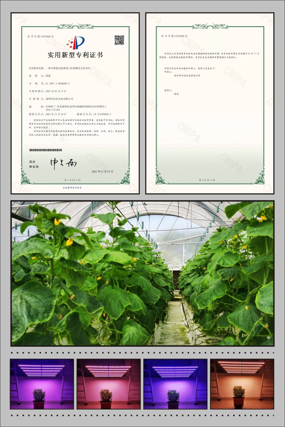 918博天堂植物农场灯实用新型专利