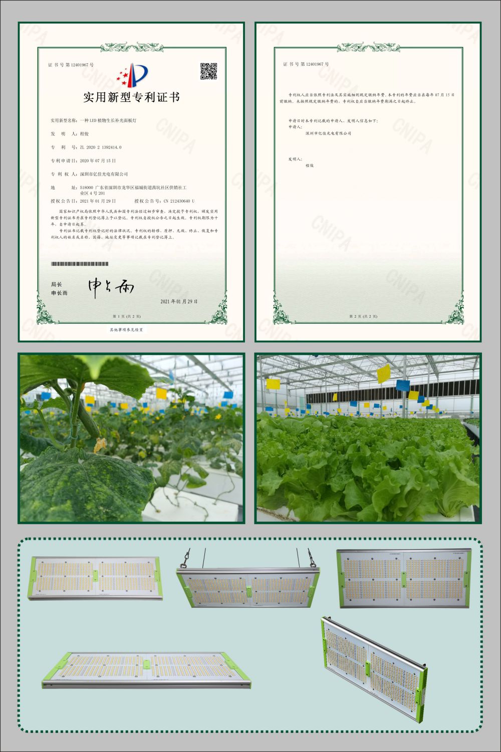 918博天堂植物成长面板灯实用新型专利